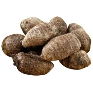 Colocasia (Small) 500 g
