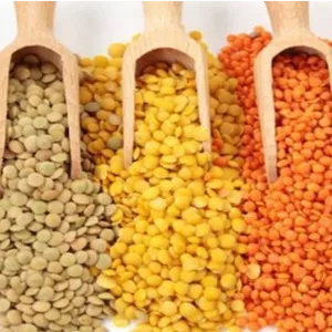 Pulses under 95/- only