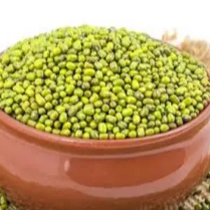 Tawakal Hari moong/pessarlu