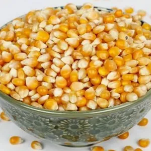 Pop-corn maccai