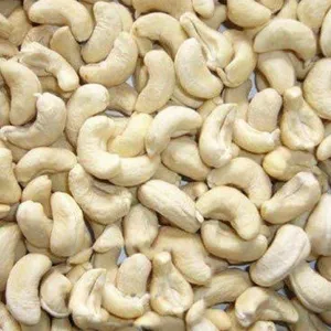 Cashew/kaju (w320)