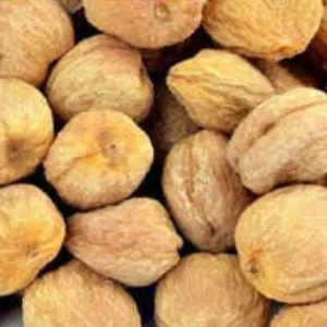 Apricot/qubani