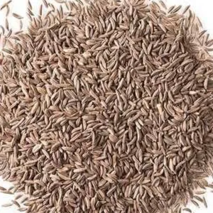Tawakal shahzeera/caraway seeds