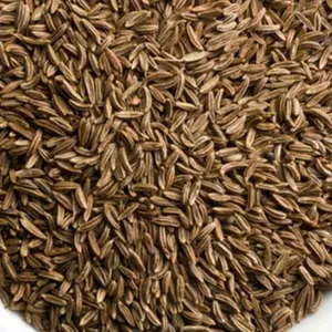 Tawakal zeera/cumin seeds