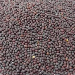 Rai/avalu/mustard seeds
