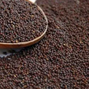 Tawakal rai/avalu/mustard seeds