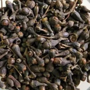 Kabab chini /allspice