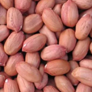 Palli/peanuts