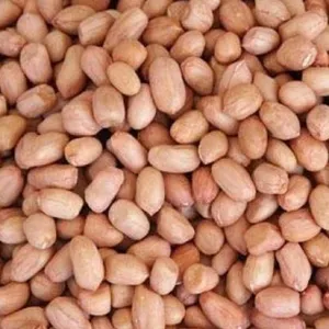 Tawakal palli/peanuts