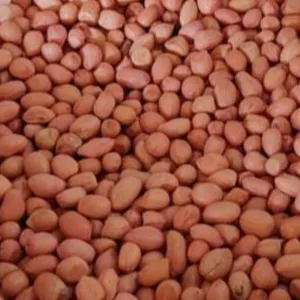 Palli/peanuts(small)