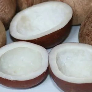 Tawakal dried coconut/copra/kodkalu(big)