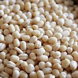 Urad dal