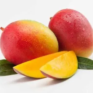  Mango 