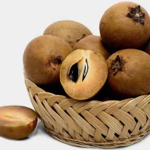 Chikkoo - സപ്പോട്ട 