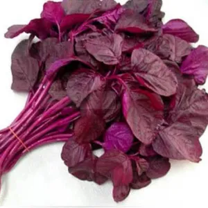 Cheera 1kg