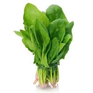 Palak - Spinach