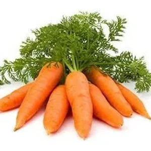 Carrot