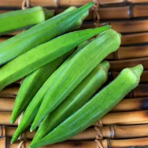 Okra - വെണ്ടയ്ക്ക 