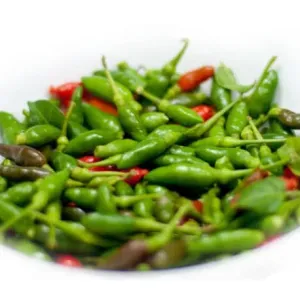  Bird eyed Chilli - കാന്താരി 