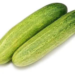 Cucumber - കക്കിരി 