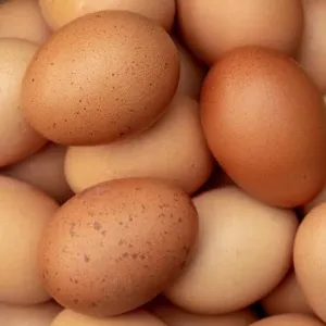 Natti Eggs- നാടൻ മുട്ട 10 @8rs