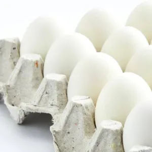 Eggs മുട്ട 20 @ 5rs