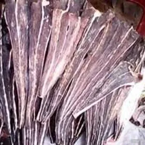 Dry Thirandi ഉണക്ക് തിരണ്ടി 250gm