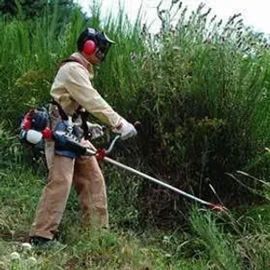 Grass Cutting പുല്ലു വെട്ടൽ 