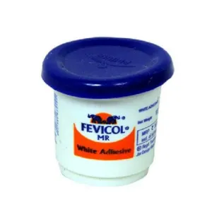 Fevicol 10gm