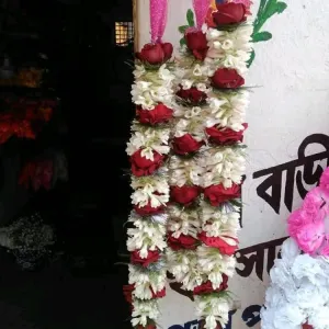 এলিগ্যান্ট মালা