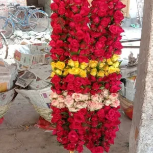 2 Layer গোলাপের মালা