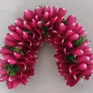 ফুল গোলাপ পাপড়ি