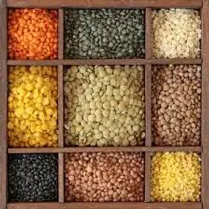 Dal