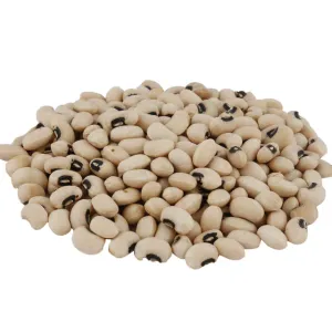 BIG CHAVALI 500GM