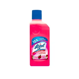 Lizol disinfectant surface cleaner floral