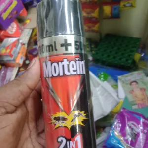 Mortein 2in 1 250ml