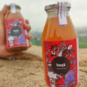 Apple Cinnamon Kombucha