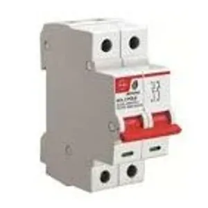 L& T 40Amps DP Isolator