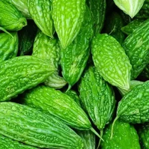 Bitter Gourd (Karela) - Regular 250 gm
