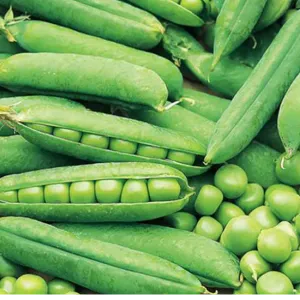 Green peas ( matar )