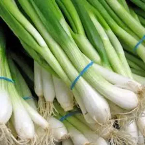 Spring Onion (Farm Grade) 250gm