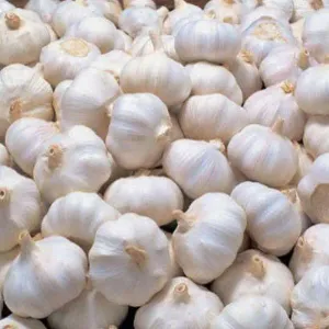 Garlic ( Lahsun ) 500g