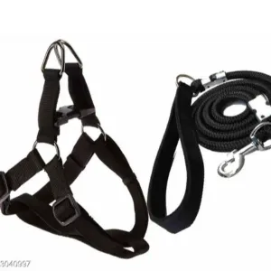 Dog Accessories
