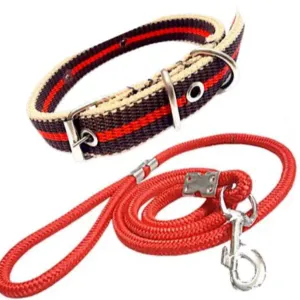 Graceful Dog Collars