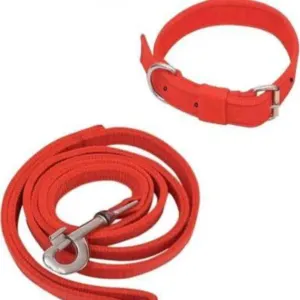SALETHIEF Nylon Dog Collar & Leash 0.75 inch -Small