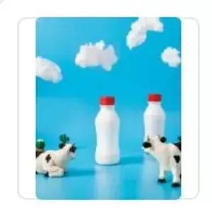 Dairy Products 
