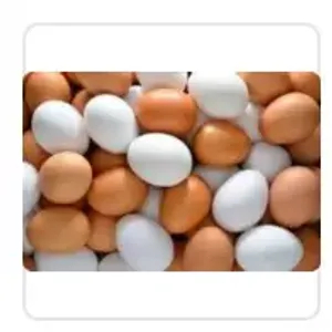 Eggs, Meat & Fish(గుడ్లు, మాంసం & చేపలు)