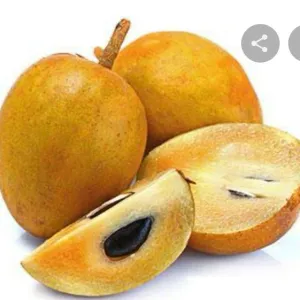 Sapota / ಸಪೋಟ