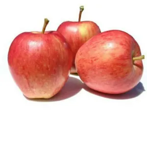 Apple Royal Gala 1 kg