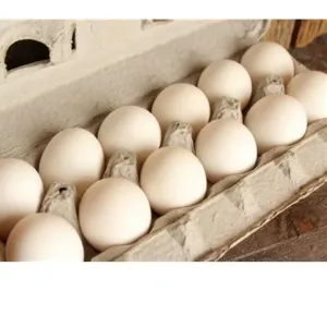 Eggs 1 Dozen